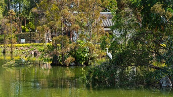 北區公園位於粉嶺和上水之間，佔地約8.605公頃。公園主要分為靜態設施區及動態設施區兩個部分。靜態設施區，亦稱第一期，是中式園林的所在地，能欣賞到清代揚州式設計的人工瀑布、人工湖及亭台樓閣，建築古樸自然，拼湊成如畫的風景。第二期提供各式各樣的康樂設施，包括足球或手球兩用場地、籃球場、排球場及滾軸溜冰場等。